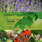 EXPERIENCE. TEATRO DE LOS SENTIDOS (copia)